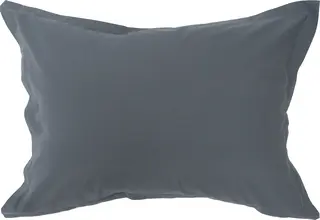 Saxon putevar Gustav Ovland