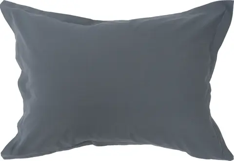 Saxon putevar Gustav Ovland