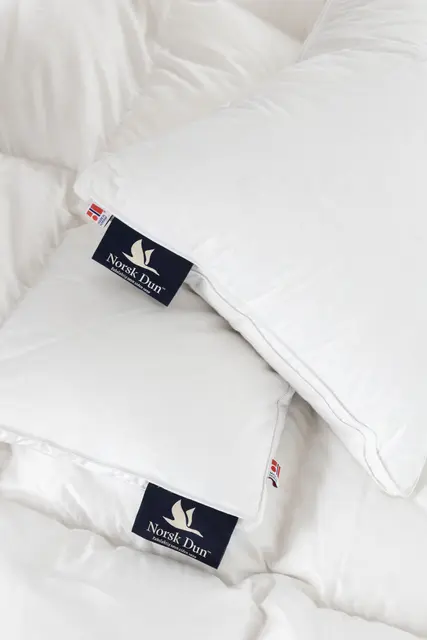 Norsk Dun 50 % andedun hotellpute Medium 70x100 1900g 