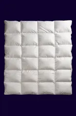 100 % Ederdundyne Norsk Dun